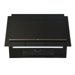 ATAG WS8012DM afzuigkap wandschouw