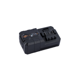 TJEP Snellader LI-20C AC100-240V 50/60Hz DC20V